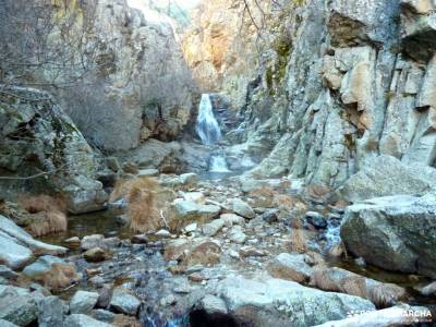 Cascadas Purgatorio;Bosque de Finlandia; la babia rutas senderismo asturias arbol de la vida celta